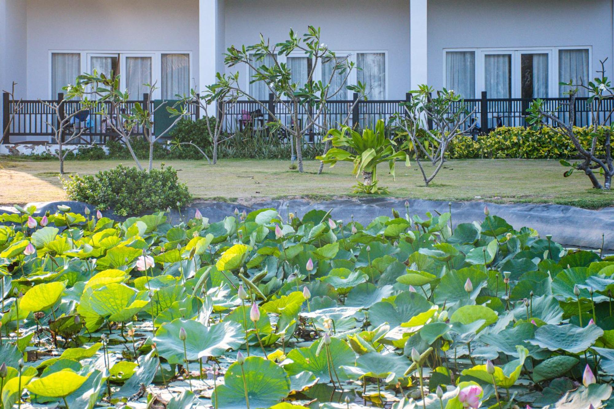 Muine Bay Resort Mũi Né Kültér fotó